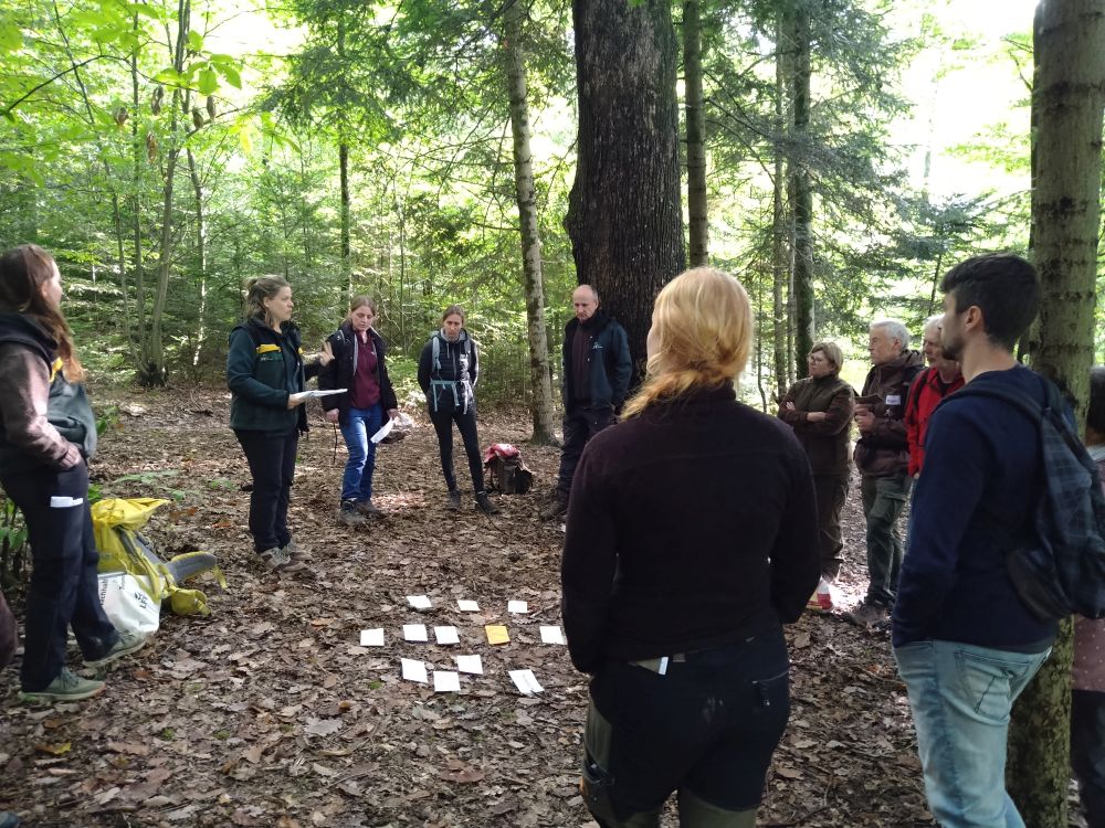 Menschen im Wald