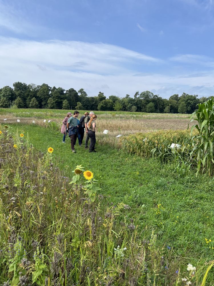 Menschen im Feld