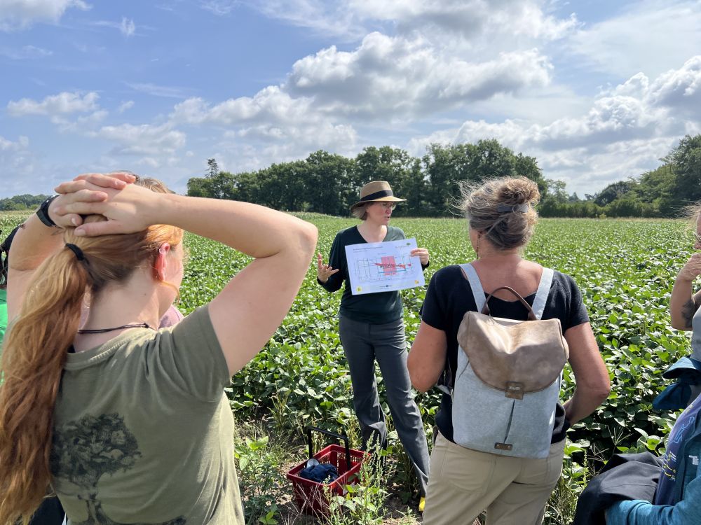 Menschen in einem Feld