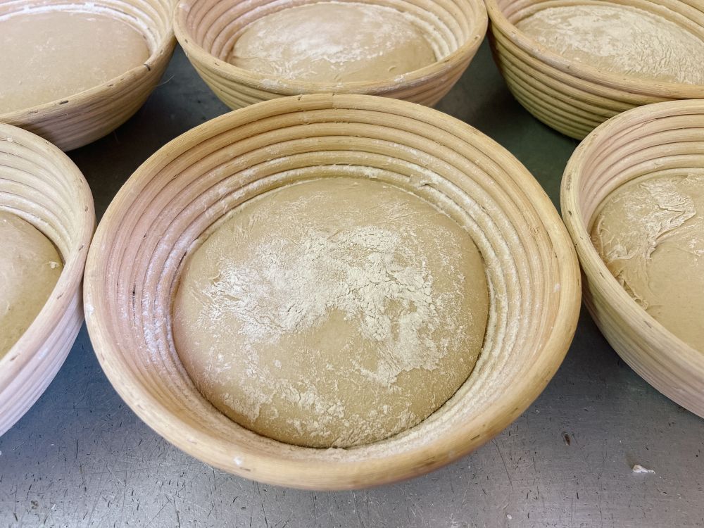 Brotlaib-Teig in einem Körbchen