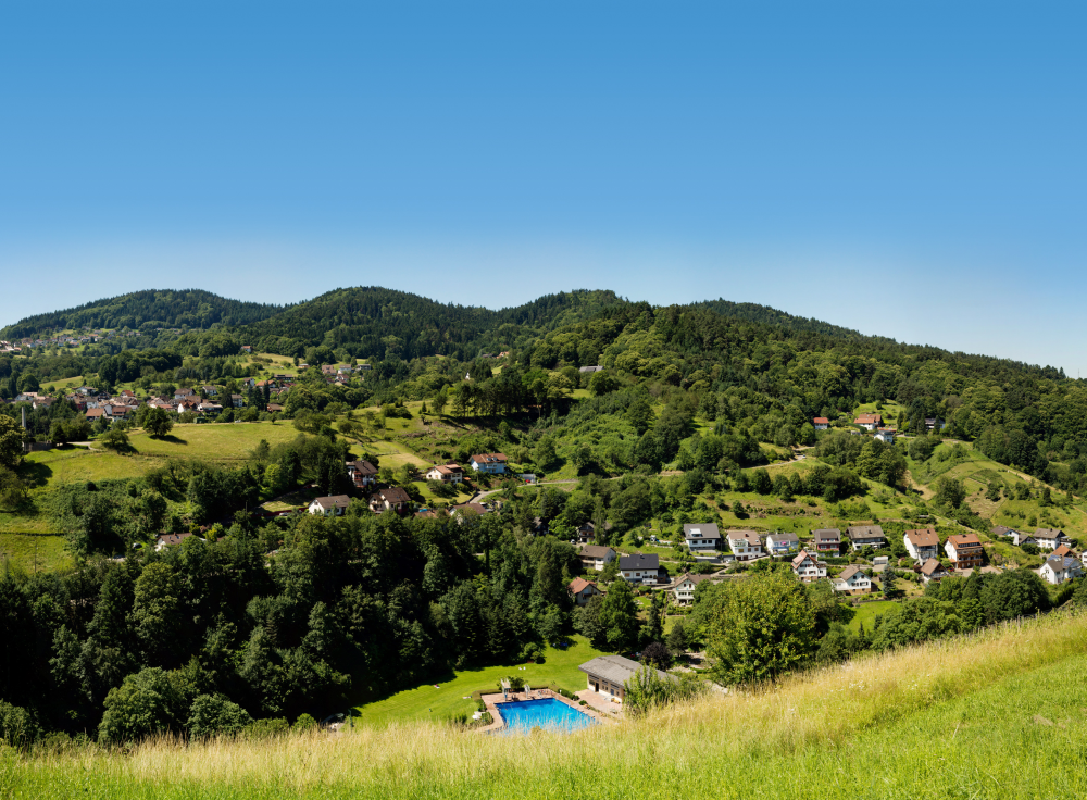 Blick auf Bühlertäler Schwimmbad, umgeben von Wald und Wiesen