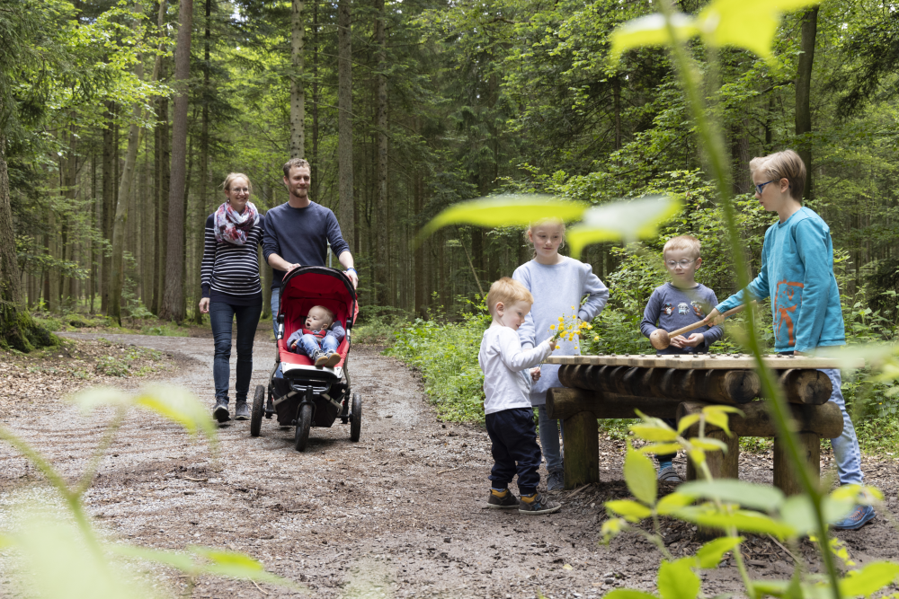 AugenBlick Schömberg, Familie mit Kinderwagen im Wald