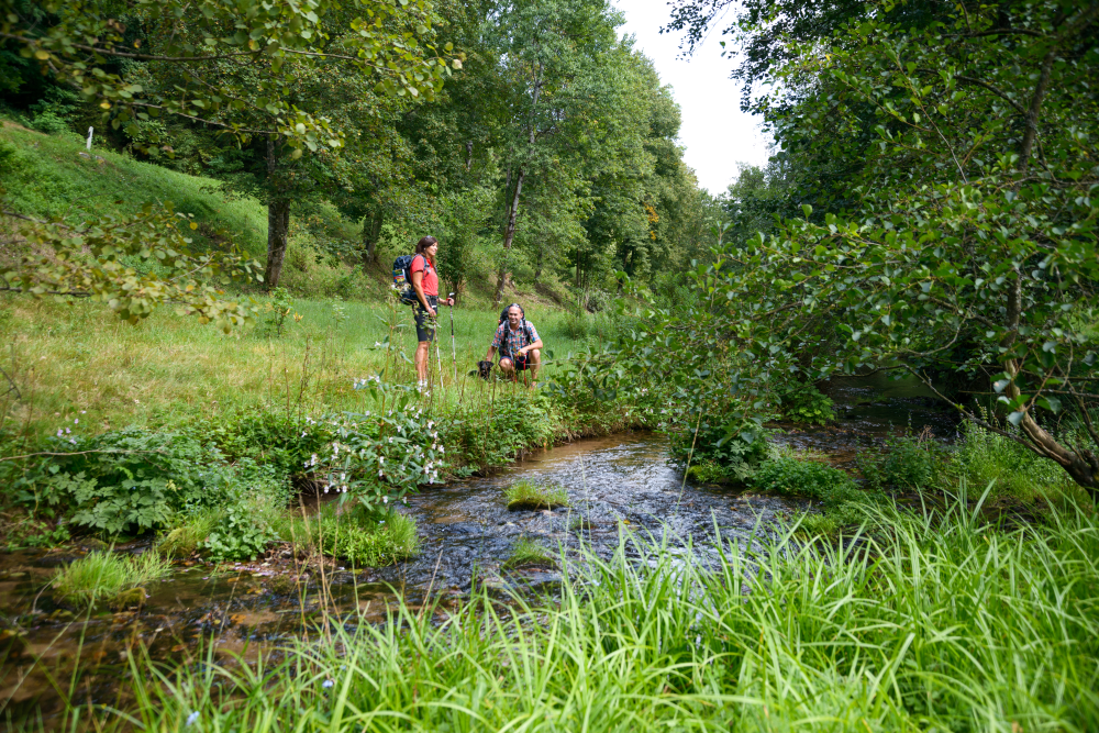 AugenBlick Altensteig, Paar mit Hund unter Bäumen am Bach