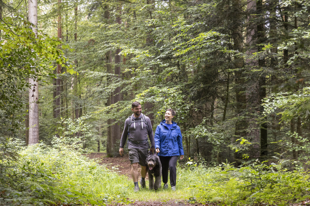 AugenBlick Bad Liebenzell, Paar mit Hund auf Waldpfad