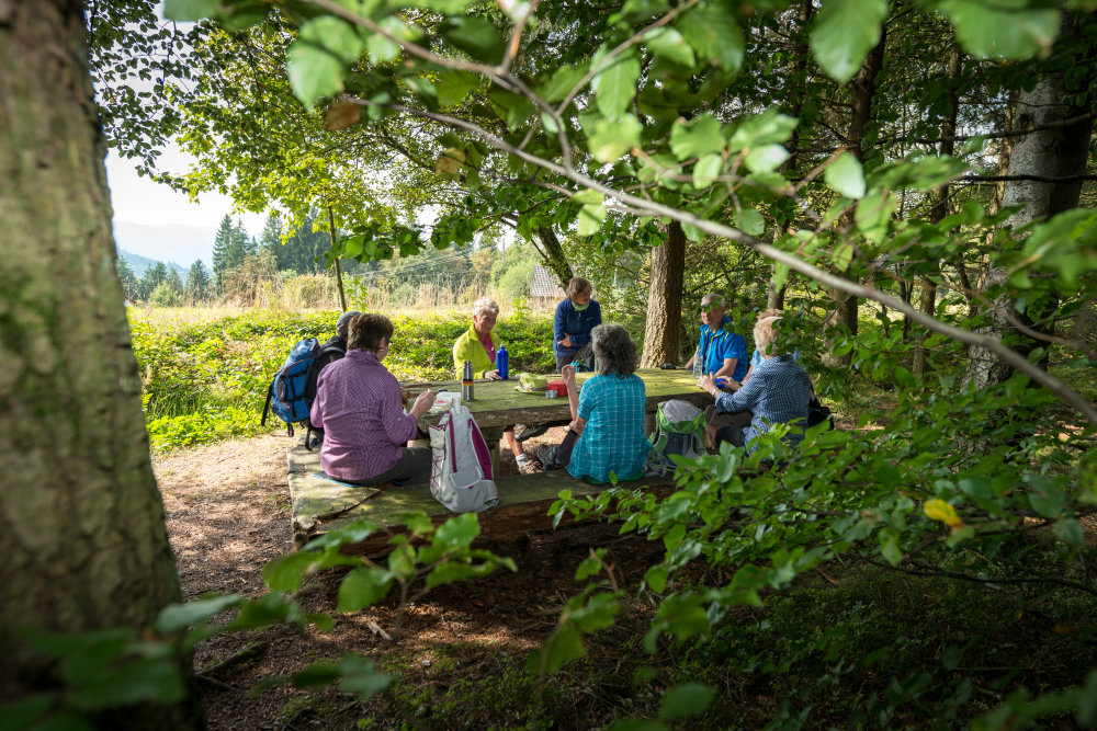 AugenBlick Schiltach, Gruppe sitzt an einem Holztisch im Wald