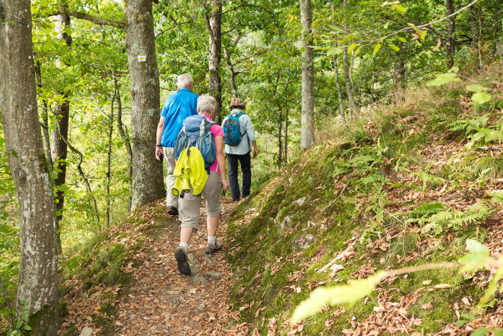 AugenBlick Schiltach, Wandernde auf einem schmalen Pfad im Wald