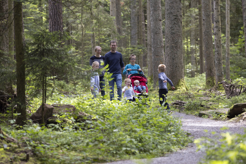 AugenBlick Schömberg, Familie mit Kinderwagen im Wald