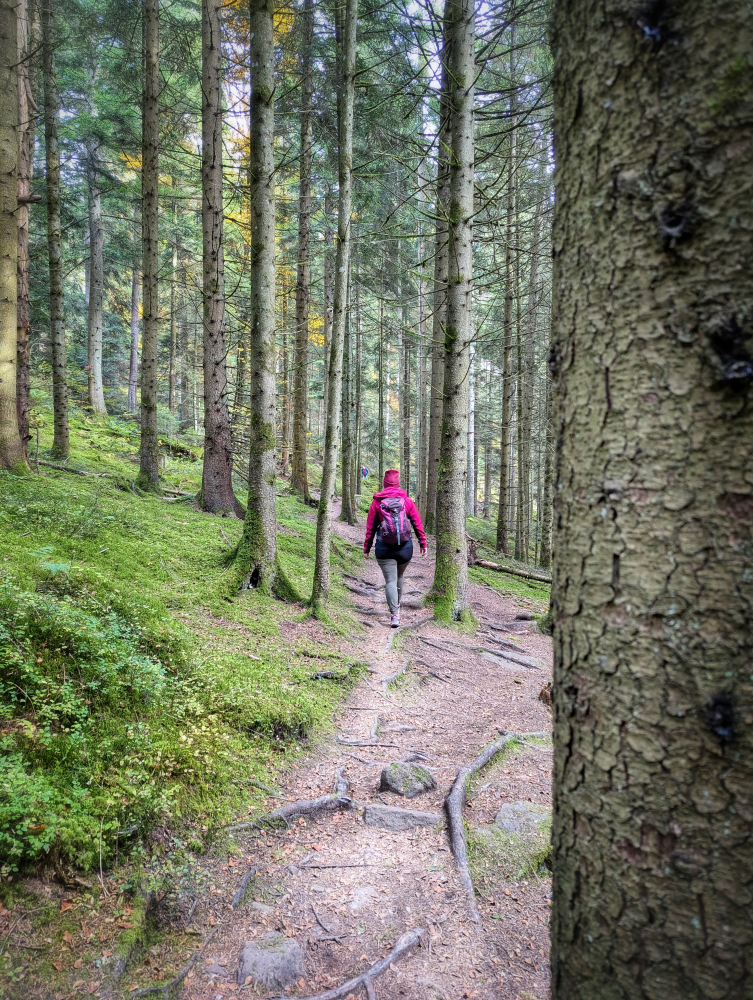 AugenBlick Bad Teinach-Zavelstein, Frau wandert auf einem Waldpfad