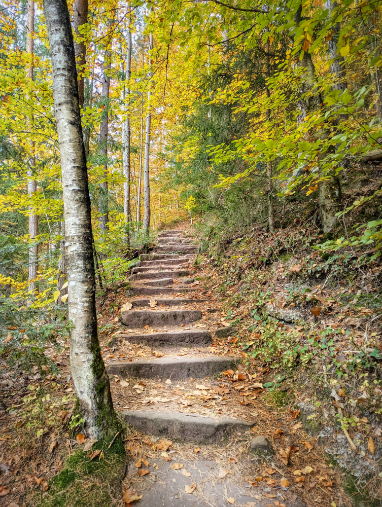 AugenBlick Bad Teinach-Zavelstein, Steinstufen im Wald