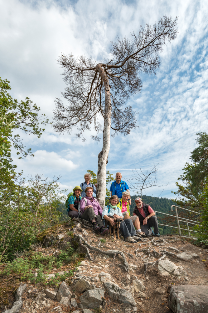 AugenBlick schiltach, Gruppe am steinigen Hang um einen Baum herum für ein Gruppenbild positioniert