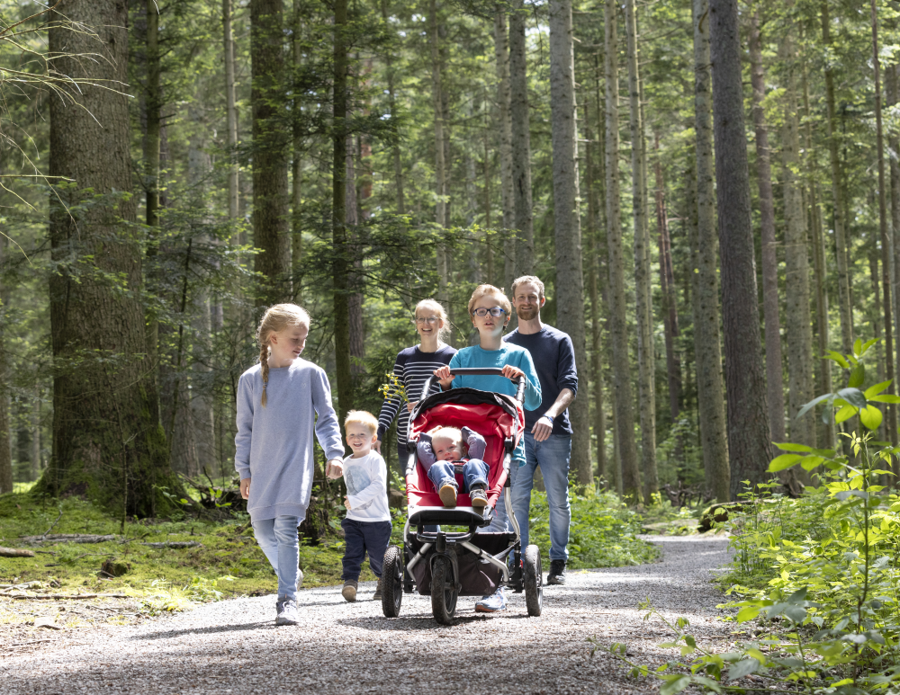 AugenBlick Schömberg, Familie mit Kinderwagen im Wald