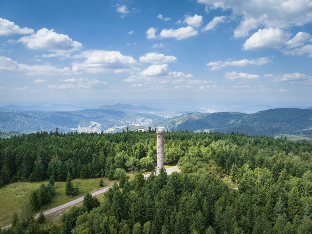 Hohlohturm auf dem Kaltenbronn