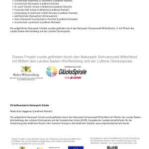 forderhinweis-schulen-2020_original