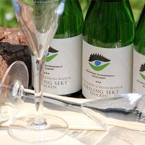 b1-3_original_original