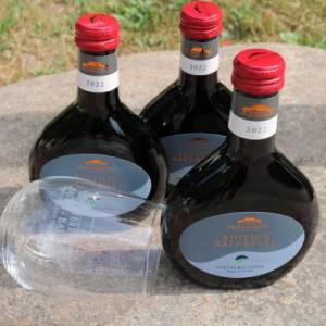 b1-619_original_original