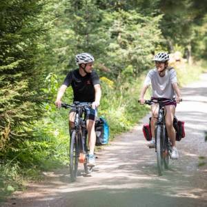 Zwei Radfahrer fahren durch einen Wald.