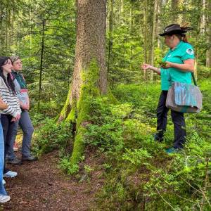 Schwarzwald-Guide Anita Splitthof hält Moos in der Hand. Sie steht im Wald und erklärt ihrer Gruppe etwas über Moose.