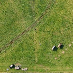 Frisch gepflanzte Bäume und Sträucher auf einer Grünfläche aus der Vogelperspektive