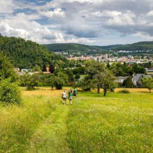 Eine Menschengruppe wandert über eine Streuobstwiese in Richtung eines Dorfes. Dieses ist umgeben von bewaldeten Schwarzwaldhügeln.