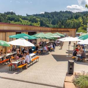 Menschen sitzen beim Brunch an Bierbänken und unter Sonnenschirmen auf einem Bauernhof zusammen.