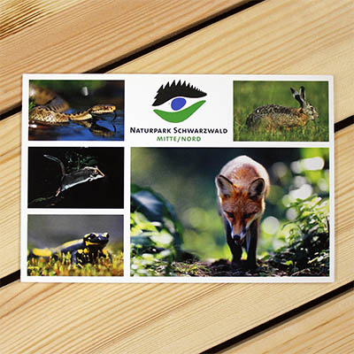 Postkarte - Tiere am Boden02