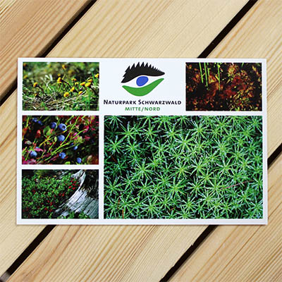Postkarte - Pflanzen02