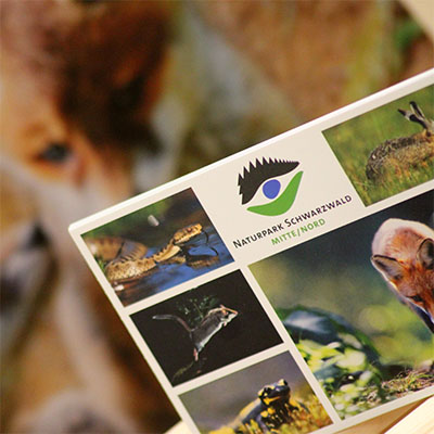 Postkarte - Tiere am Boden03