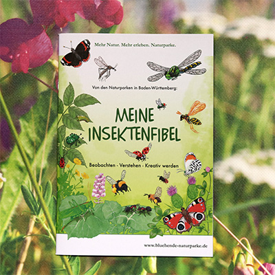 Insektenfibel02