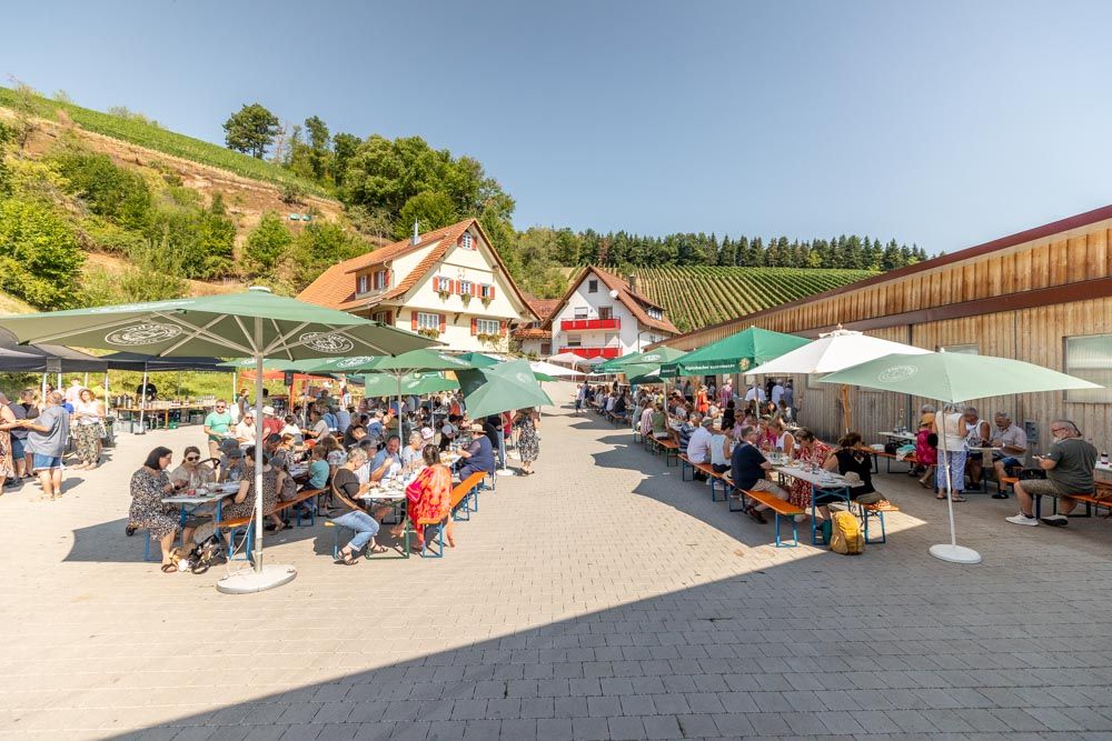 Menschen sitzen an Biertischen auf einem Hofgelände beim Brunch, im Hintergrund sind Weinberge zu sehen.