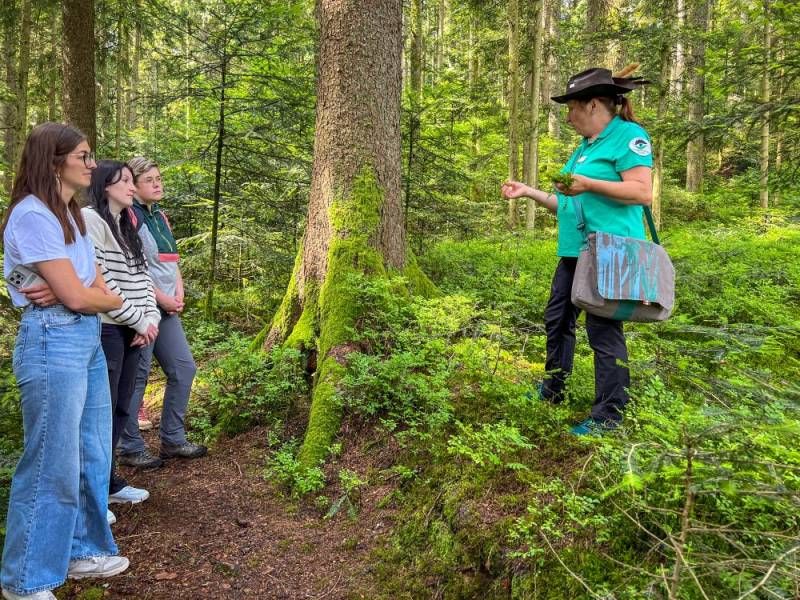 Schwarzwald-Guide Anita Splitthof hält Moos in der Hand. Sie steht im Wald und erklärt ihrer Gruppe etwas über Moose.