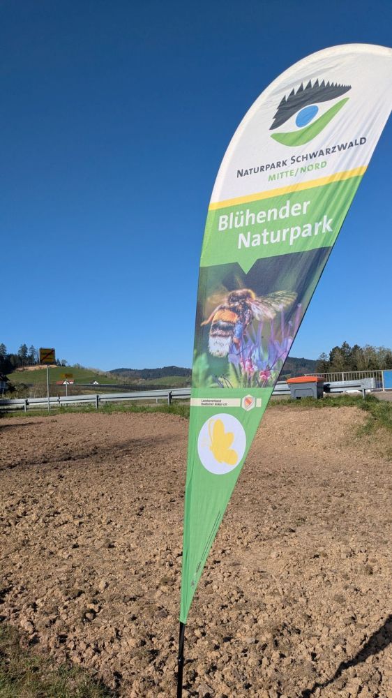 Naturpark-Beach-Flag auf einer eingesäten Fläche