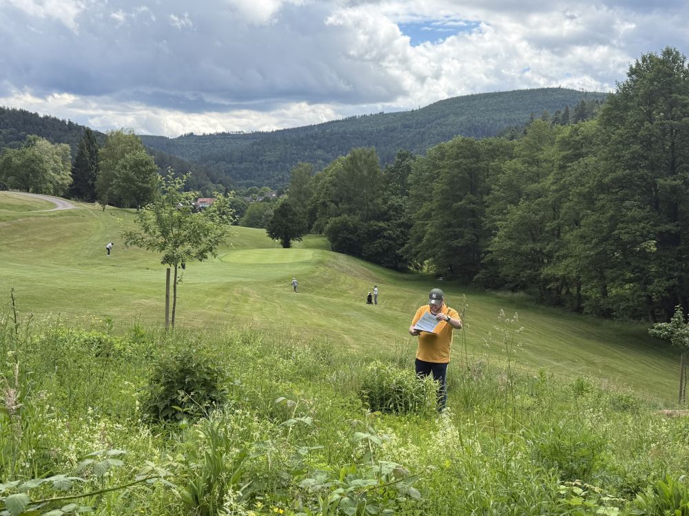Mann auf Wildblumenwiese am Golfplatz