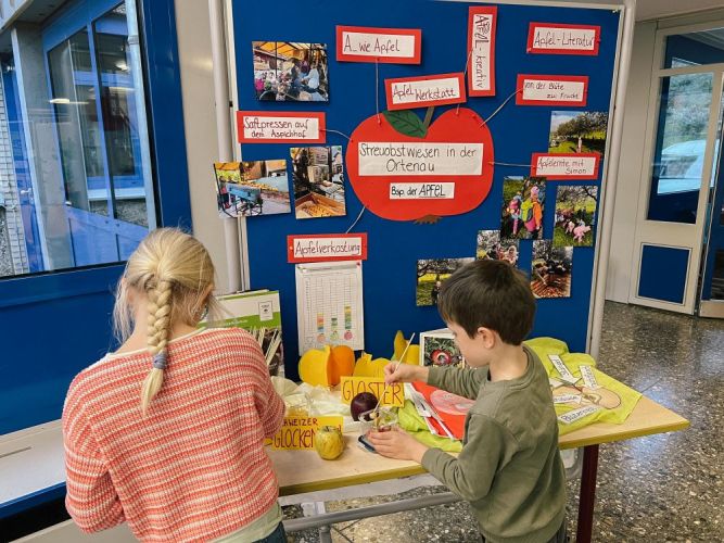 Kinder probieren verschiedene Apfelsorten.