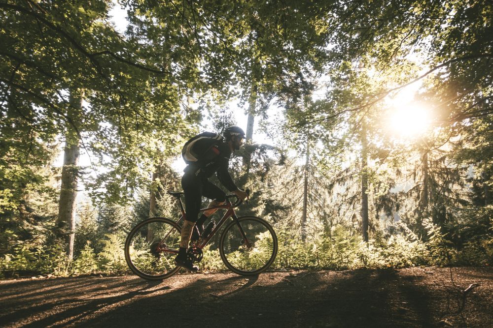 Ein Mann mit Rucksack und Gravel Bike fährt durch den Wald.