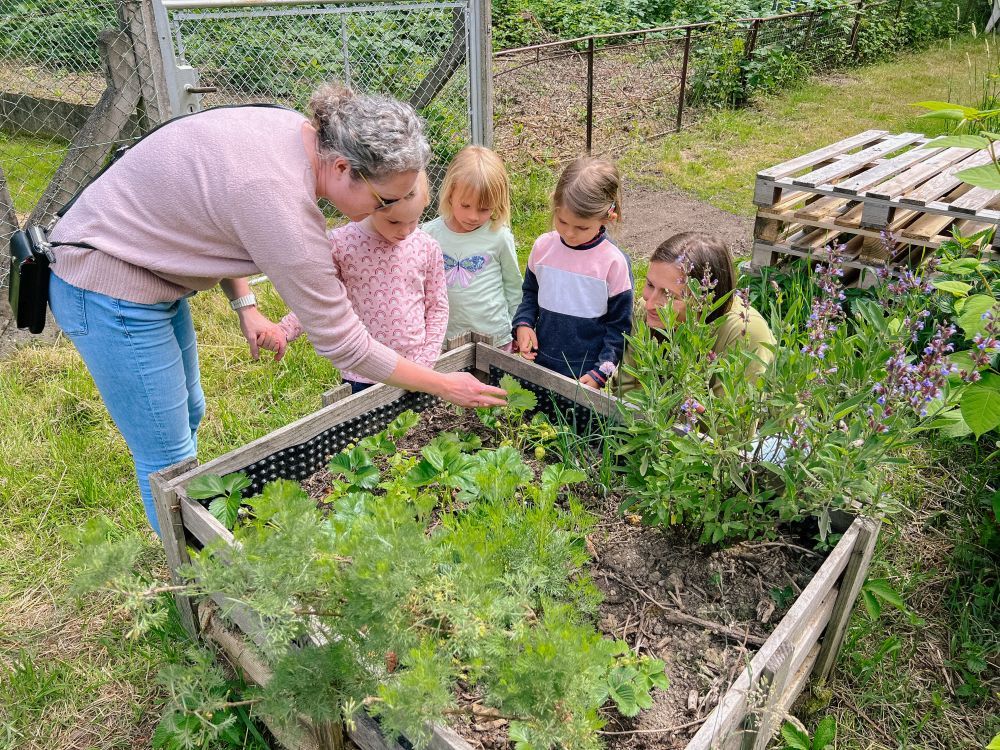 Eine Frau und Kinder schauen sich ein Hochbeet an.