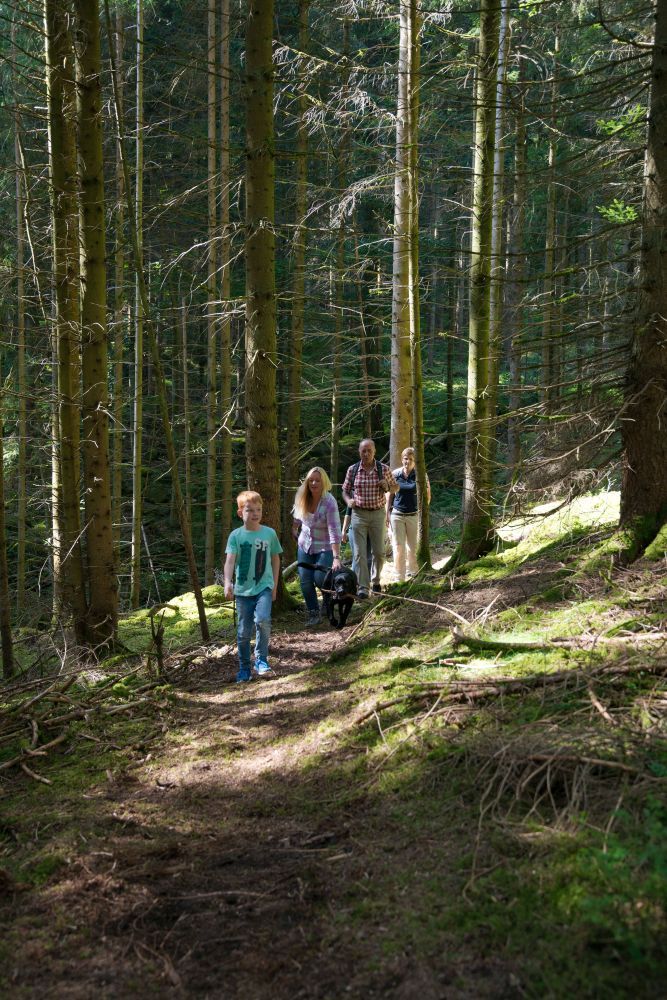 Familie wandert auf schmalem Waldpfad.