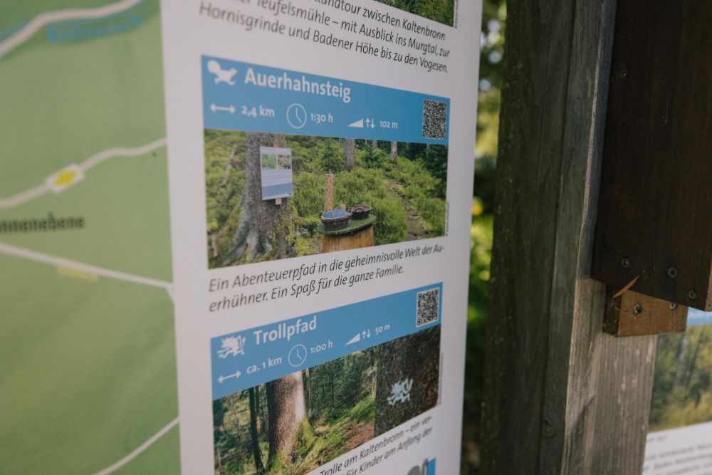 Detailaufnahme Infotafel