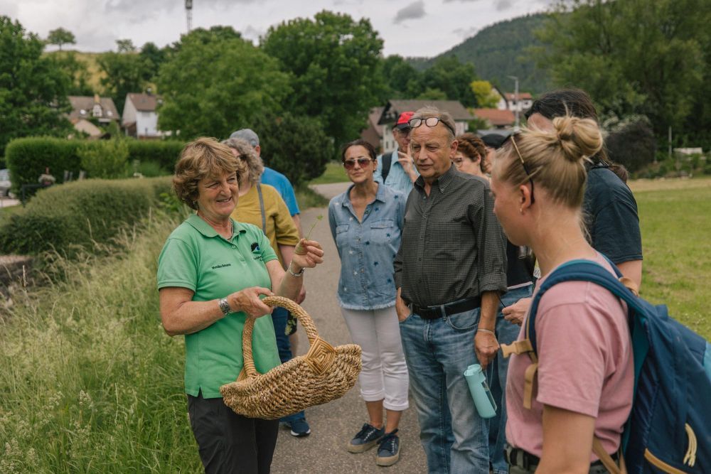 Schwarzwald-Guide erläutert Gästen bei einer Führung Wildkräuter.