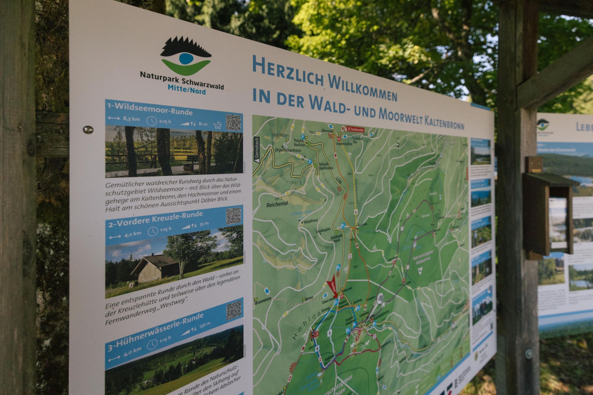 neue Infotafel zu Wanderwegen auf dem Kaltenbronn