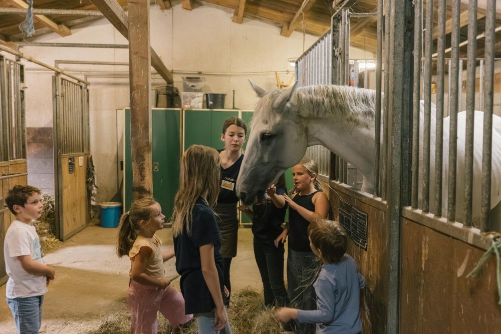 Kinder streicheln in einem Stall ein Pferd