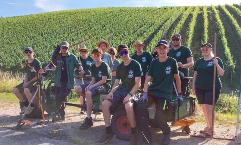 Gruppe von Freiwilligen sitzt auf einem Anhänger in den Weinbergen.