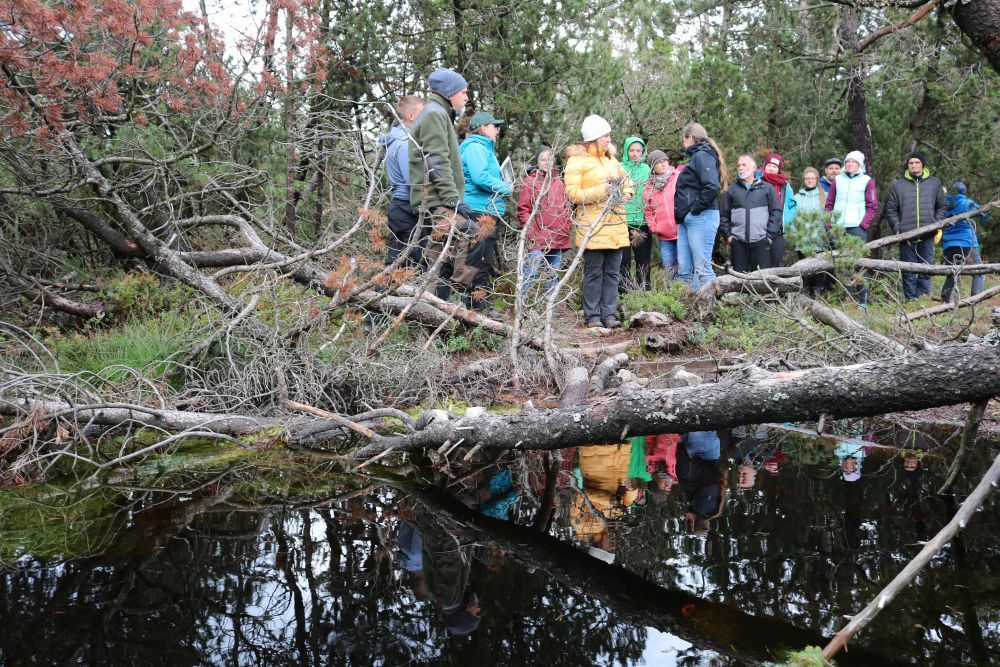 Menschen stehen in einer Moorlandschaft