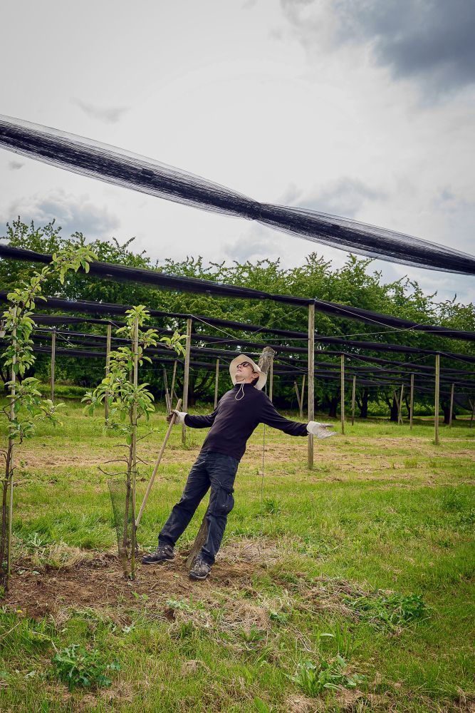 Ein Mann lehnt an einem Holzpfahl zwischen gepflanzten Bäumen.