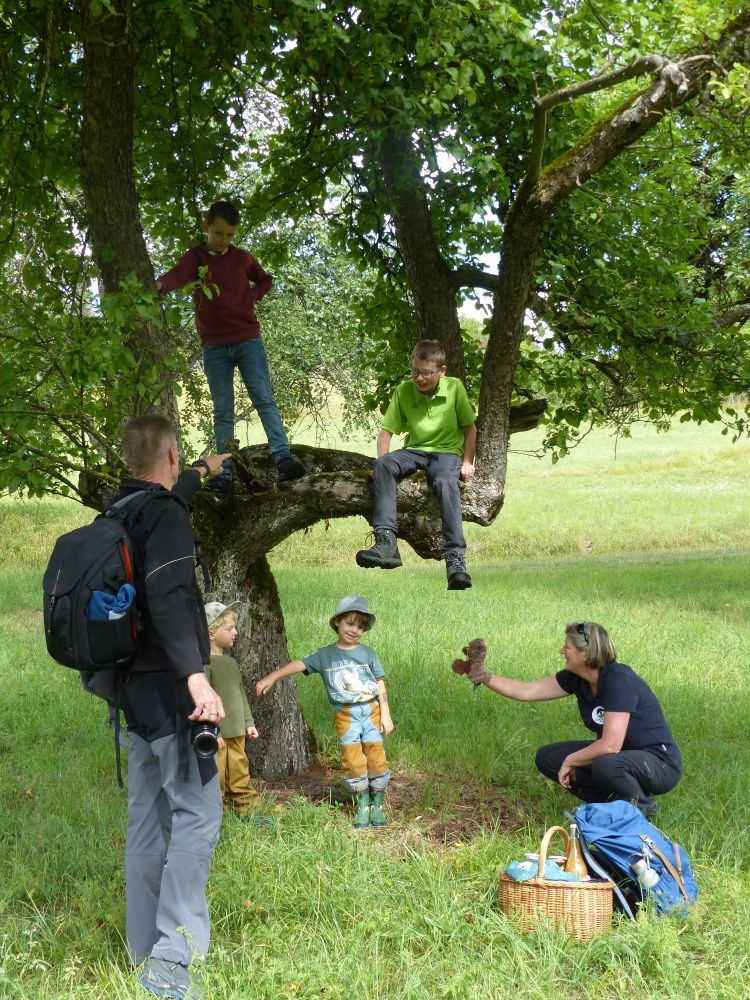 Zwei Jungs klettern auf einem Baum, zwei Erwachsene und zwei Kinder stehen um den Baum herum auf einer Wiese.