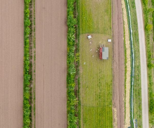 Agroforstsystem aus der Vogelperspektive mit Hecken auf einem Acker und Hühnern auf einem Grünstreifen