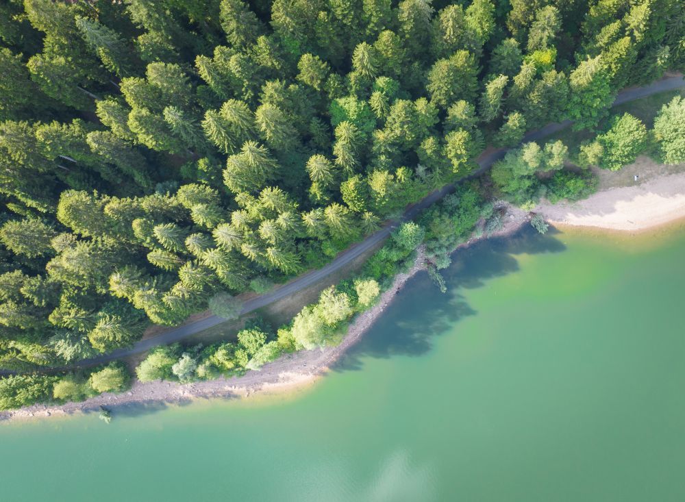 türkisener Fluss und Nadelbäume