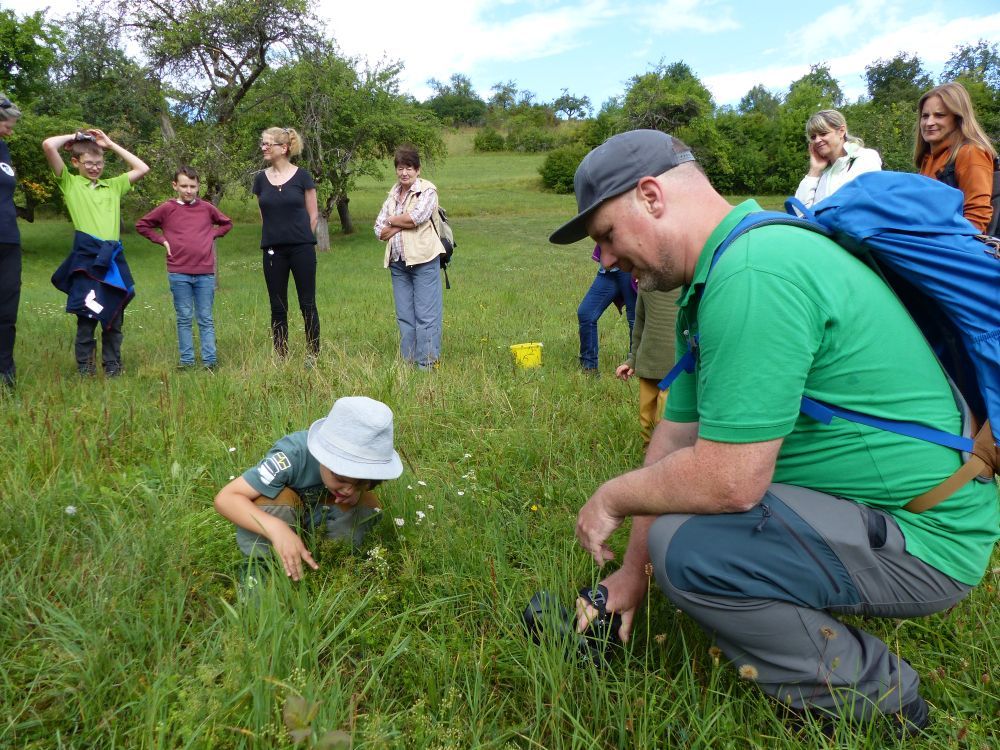 Menschen stehen auf einer Streuobstwiese und erkunden sie.