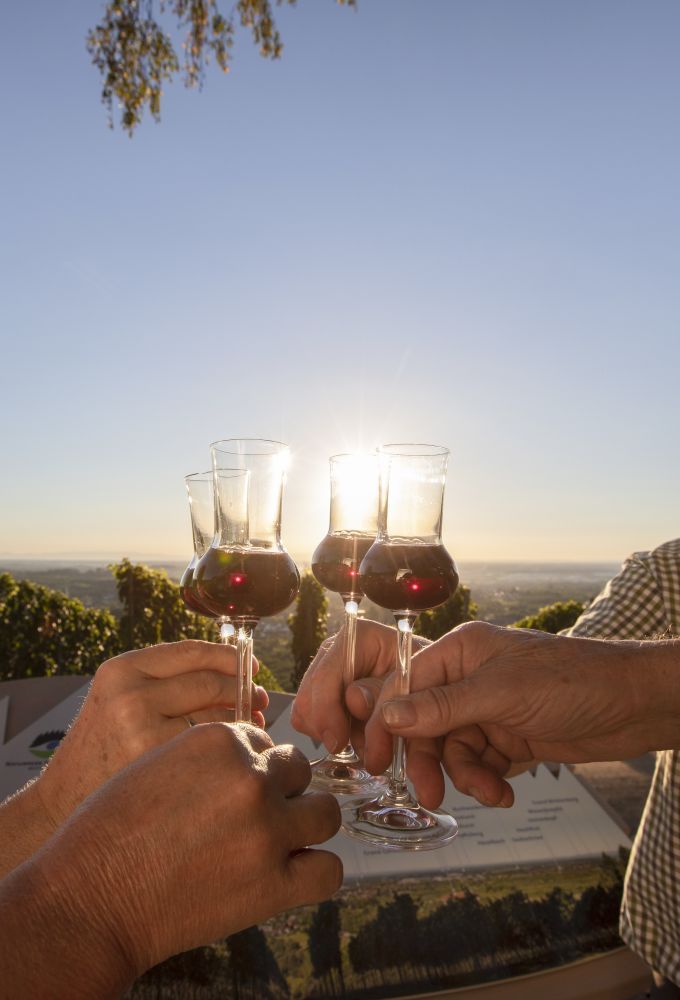 gefüllte Likörgläser stoßen an vor Weinreben bei Sonnenuntergang
