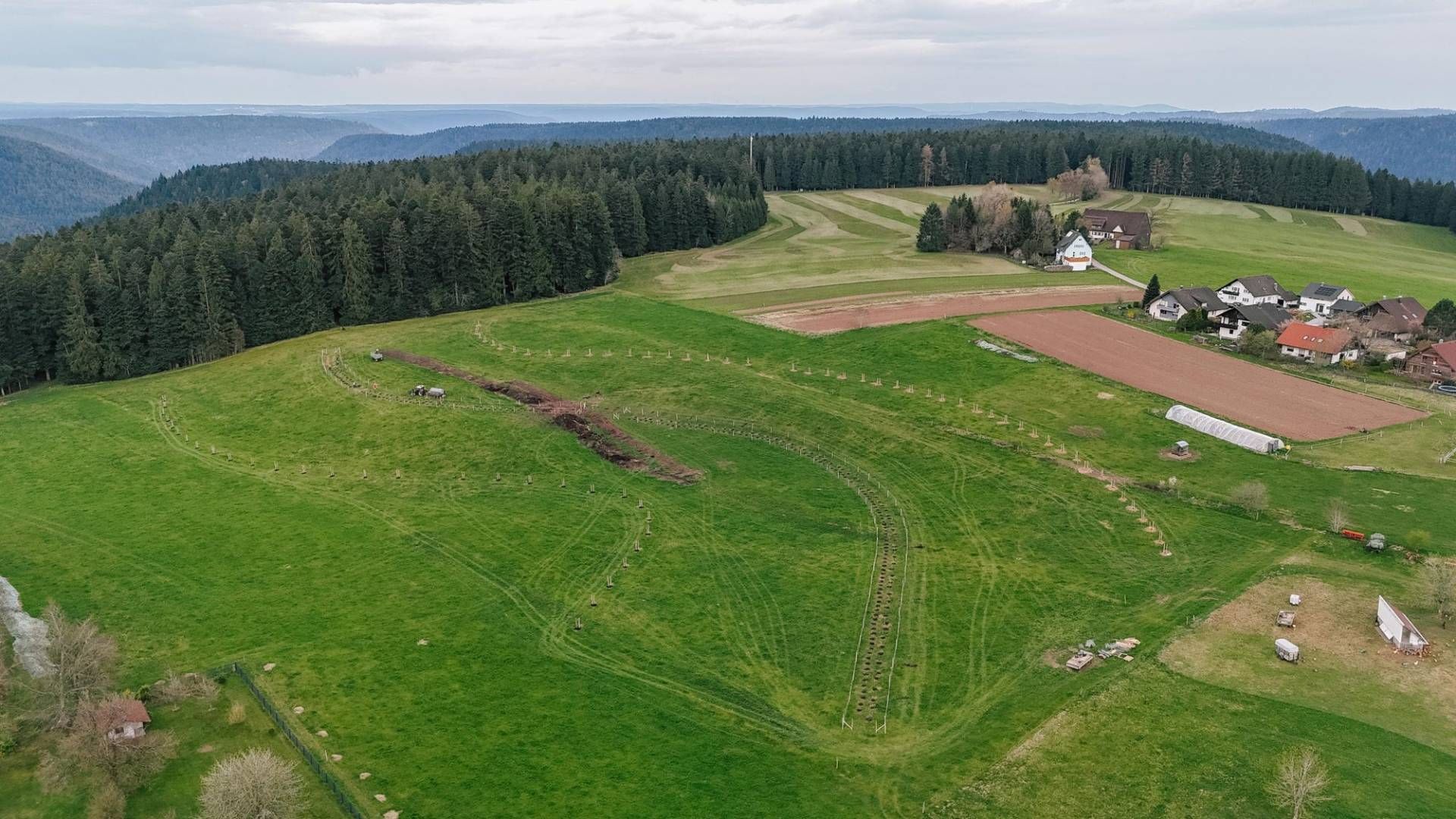 Frisch angelegtes Agroforst-System mit Bäumen und Sträuchern aus der Luft