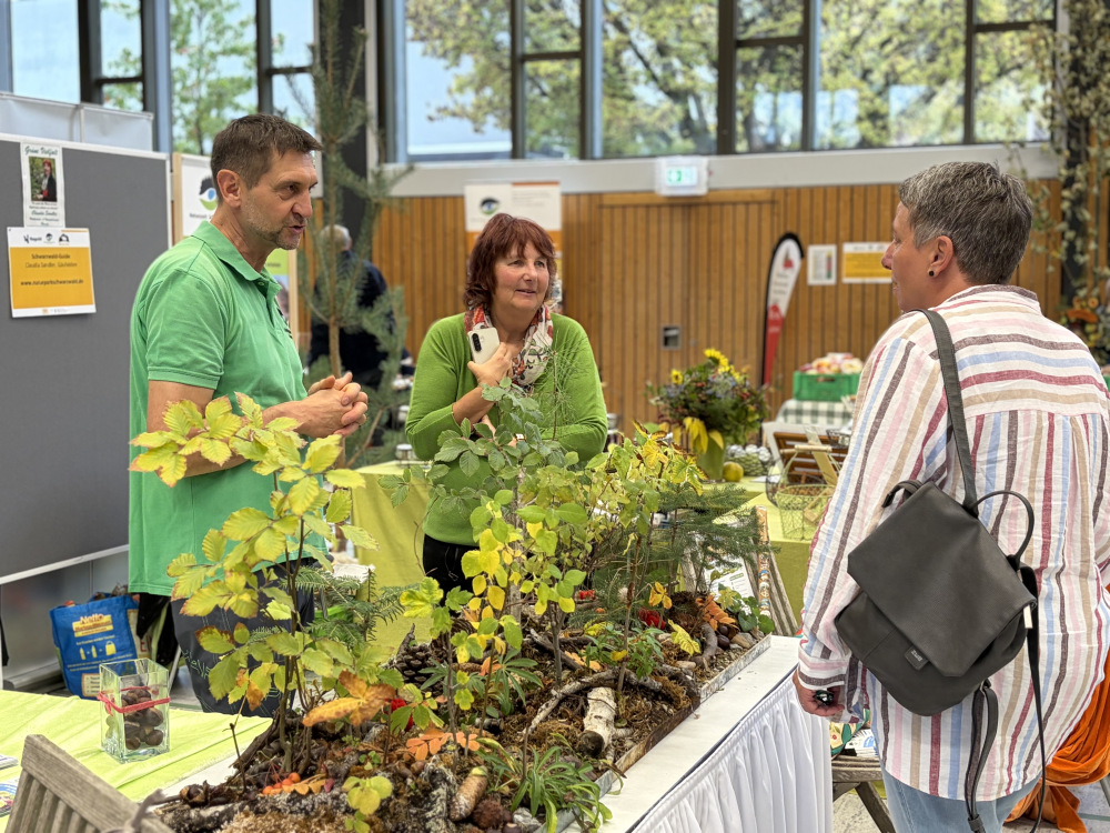 Stand der Schwarzwald-Guides